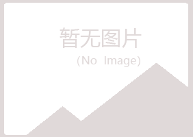 桃山区迷失零售有限公司